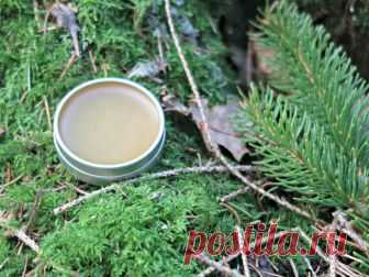 How to Make Pine Resin Salve • Craft Invaders Pine Resin has a long history of use by man for everything from medicine to construction. Here we show you how to make a soothing pine resin salve for the skin.