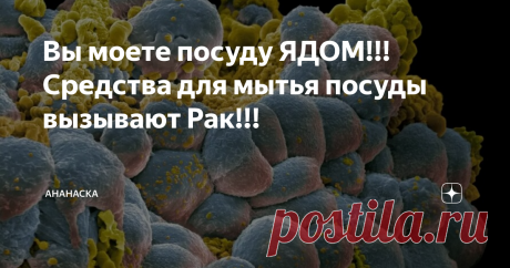 Вы моете посуду ЯДОМ!!! Средства для мытья посуды вызывают Рак!!! Статья автора «Вольтана » в Дзене ✍: