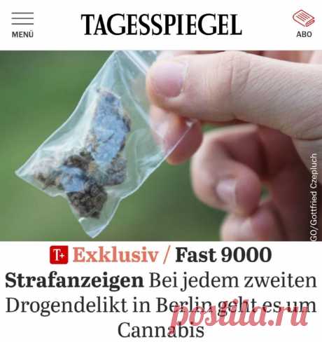 Каждое второе наркопреступление в Берлине связано с марихуаной | VestiNewsRF.Ru