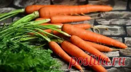 Как меня научили морковку хранить: простые хитрости фермера. В феврале как с грядки - сочная, свежая, не вянет, и кожица тонкая! | В саду у Валентинки | Яндекс Дзен