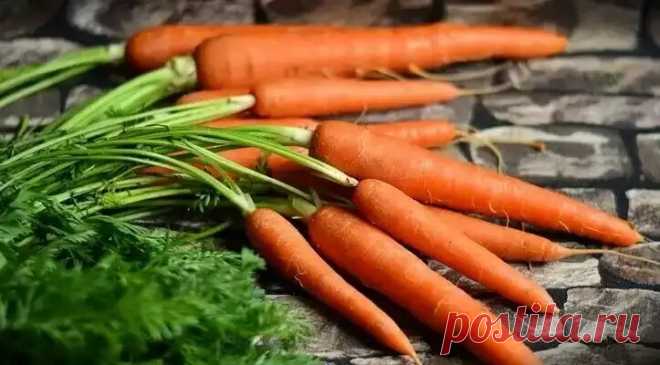 Как меня научили морковку хранить: простые хитрости фермера. В феврале как с грядки - сочная, свежая, не вянет, и кожица тонкая! | В саду у Валентинки | Яндекс Дзен