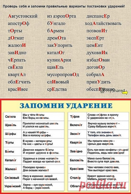 Ударение в словах документы банты облегчить торты. Ударениетв слове свекла. Ударение в слове свекла. Свёкла ударение на какой слог падает ударение. Свекла ударение на какой слог падает.