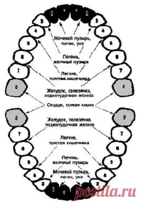 ШИФРОВКА ОТ КЛЫКОВ  Дневник Елена-надежда