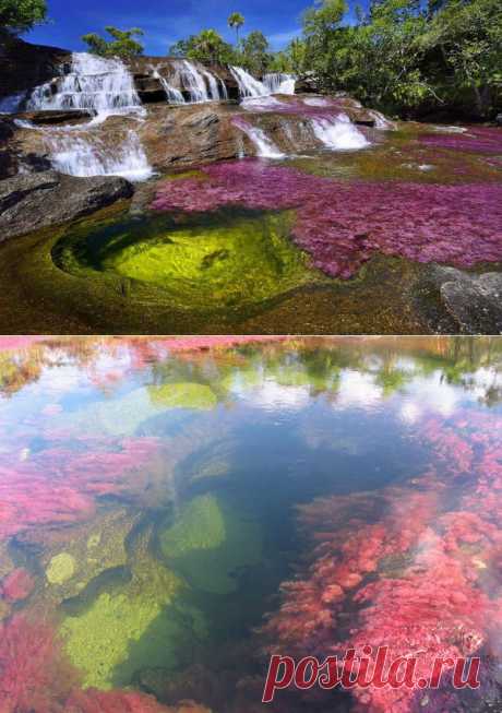 Многоцветная река в Колумбии / Туристический спутник