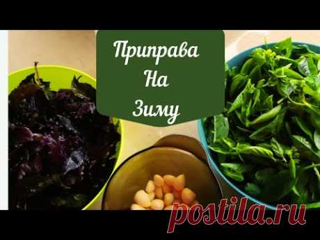 Базилик! Чеснок! Отличная приправа на зиму к мясу, птице и рыбе!
