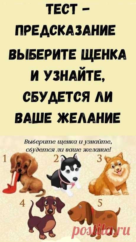 Загадайте свое желание и выберите собаку, она скажет вам, когда ваше желание сбудется.