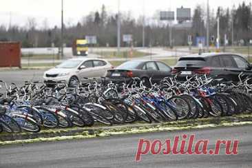 Таможня Финляндии продала на аукционе велосипеды приехавших в страну беженцев