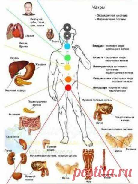 Чакры и болезни | Быть здоровым легко!