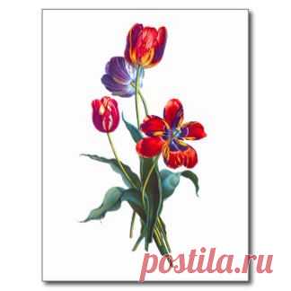 Bouquet Of Tulips Postcards & Postcard Template Designs | Zazzle