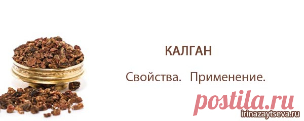 Калган. Полезные и лечебные свойства, применение, Корень калгана | Бло ...
