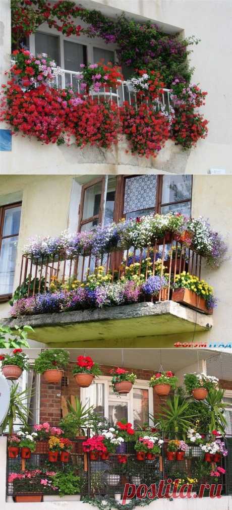 Маленький сад на балконе