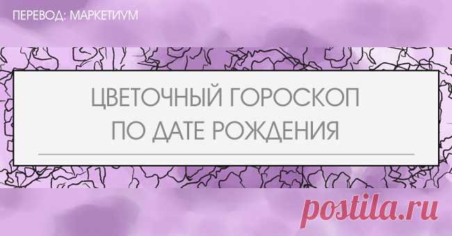 Цветочный гороскоп. Цветы по гороскопу по дате рождения. Цветочный гороскоп по дате рождения. Цветок по дате рождения. Цветы по знакам зодиака по дате рождения.