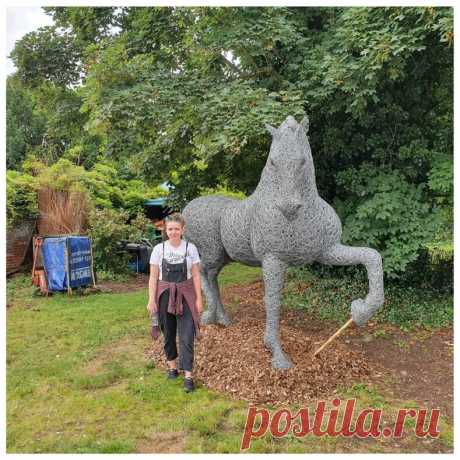 Лошадь из проволоки в полный рост: девушка создает максимально реалистичные скульптуры животных, и эти снимки как доказательство — блог туриста ni-oca на Туристер.Ру