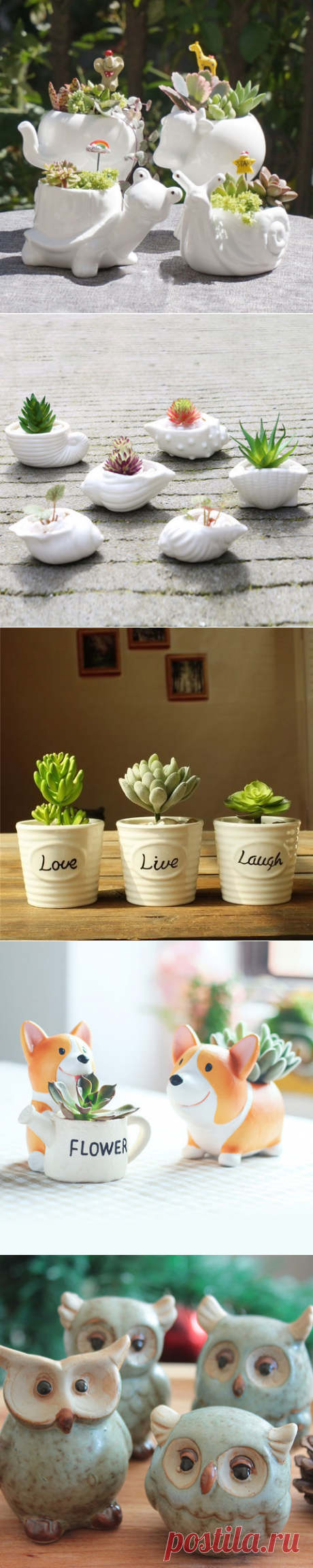 Maceta de cerámica Kawaii Pequeño Animal, maceta de plantas y flores suculentas de porcelana blanca, para el hogar, jardín, escritorio, miniadornos|flower pot|little flower potslittle flowerpots - AliExpress