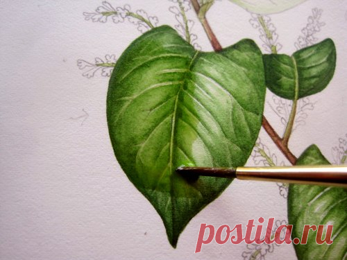 Рисуем листья — Сделай сам, идеи для творчества - DIY Ideas