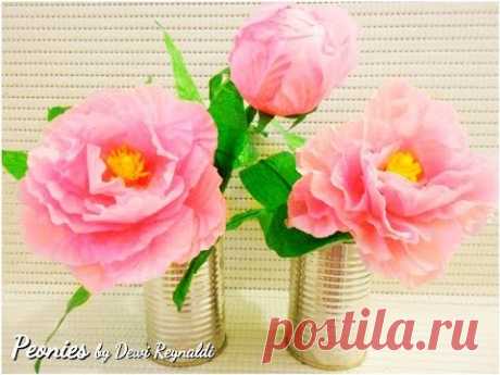 DIY : How to Make Peony Paper Flower for Room Decoration