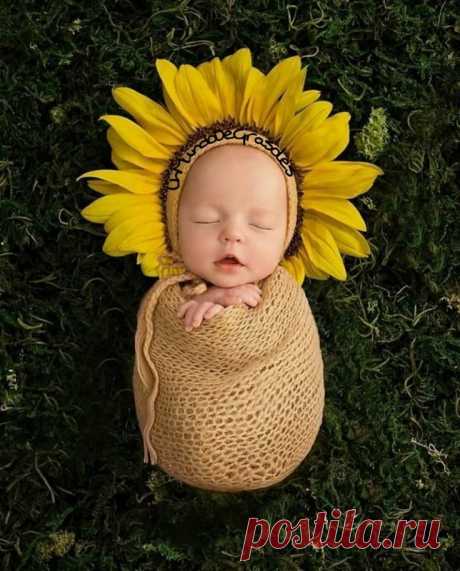 New Ideas For New Born Baby Photography : Sunflower for my future child