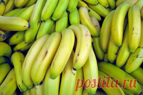 Mash: Россию ожидает дефицит бананов из-за гражданской войны в Эквадоре. Цены на бананы могут взлететь на 30-40%.