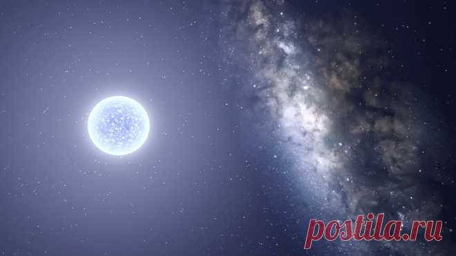 Созвездие Большого Пса. Где находится и какие в нем звезды?
