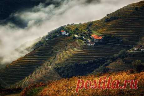 Долина реки Дору, Португалия. Автор фото: Дмитрий Купрацевич.