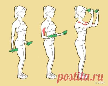 Выполняйте эти 6 упражнений и ваши руки станут красивыми, как у модели