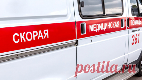 Третьеклассница попала в реанимацию после тренировки в школе Кронштадта. Третьеклассница попала в больницу после тренировки в спортивной секции в одной из школ Кронштадта, девочку без сознания обнаружил тренер. Об этом сообщает &quot;Фонтанка&quot;. Инцидент произошел утром 11 января на тренировке по ...