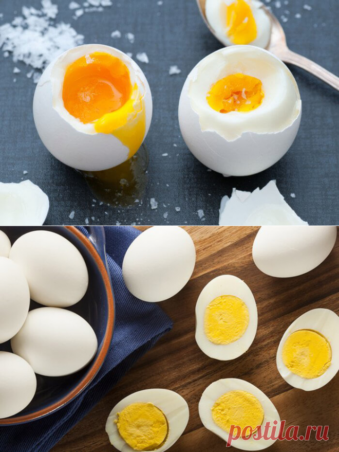 Третье яичко. 3 Яйца. Яйца каждый день. Посуда для яйца всмятку. Яйца всмятку.