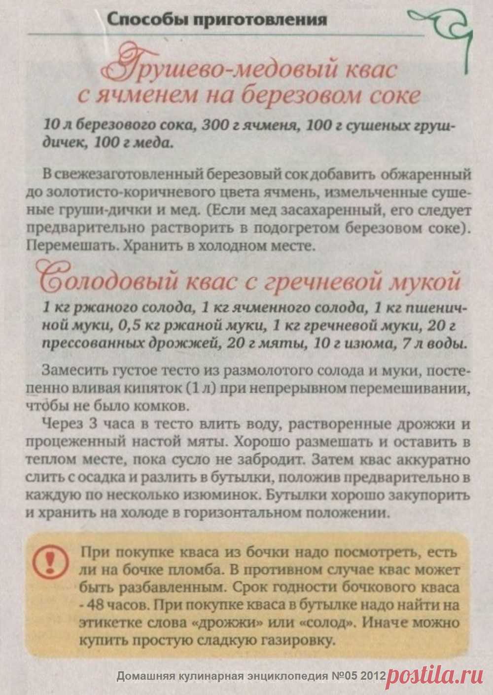 Грушево-медовый квас с ячменем на березовом соке. Солодовый квас с гречневой мукой