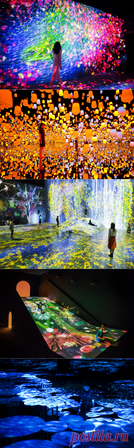 Экскурсия в музей цифрового искусства в Токио — НеПутевые заметки