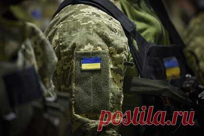 В Запорожье заявили о ликвидации элитного офицера ВСУ. Председатель запорожского движения «Мы вместе с Россией» Владимир Рогов заявил о том, что в зоне проведения специальной военной операции (СВО) ликвидировали элитного офицера Сил специальных операций (ССО) «Восток» Вооруженных сил Украины (ВСУ) майора Андрея Литюгу с позывным Хабиб.