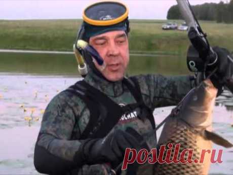 Охота в поиске, А.Кочубей. Подводные ружья &quot;Каюк&quot; — Яндекс.Видео