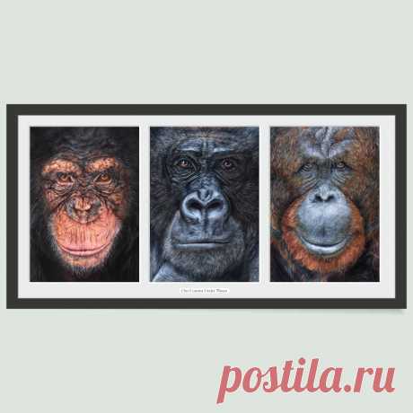 «Наши кузены под угрозой» — гравюра с изображением человекообразных обезьян, созданная художницей Энджи.