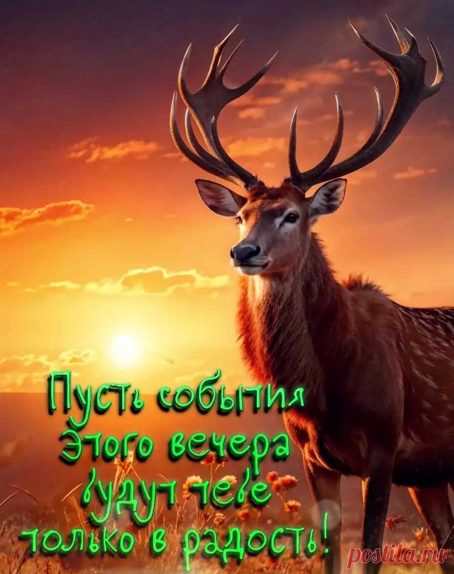 Картинка добрый вечер с пожеланием радости