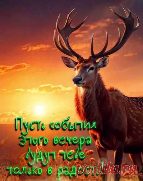 Картинка добрый вечер с пожеланием радости