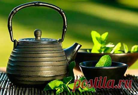 Чайная диета. Основные постулаты
Всем известна польза зеленого чая. Именно на этих полезных свойствах зеленого чая и основана японская чайная диета.
Чай содержит практически весь «витаминный алфавит». Для здоровья интересны водорастворимые витамины, которые без проблем могут попасть в напиток. Витамины принимают участие практически во всех обменных процессах организма, в белковом и углеводном обмене, а также защищают печень от неблагоприятного воздействия.