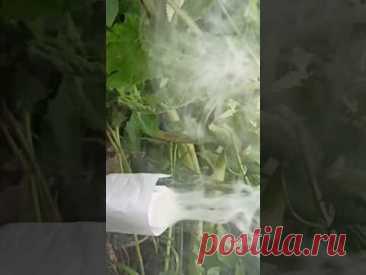 Powerful Homemade Smoke Bomb made of paper smokes well