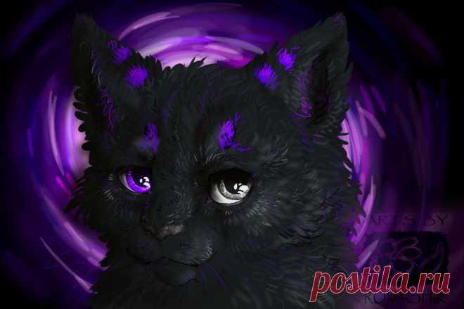 The Cat Black Orchid by Romashik-arts on DeviantArt