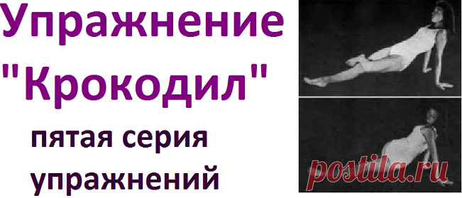 Упражнение крокодил. Упражнение Крокодильчик для детей. Гимнастика крокодил упражнение 8. Крокодил упражнение мужчина.