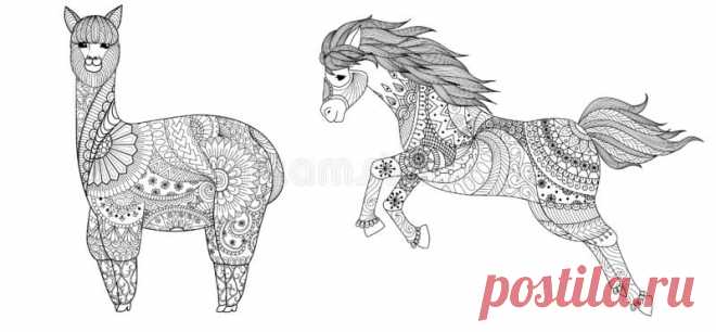 Llama and horse stock vector. Illustration of coloring - 137173539 Illustration about Llamy and horse for coloring book,coloring page,colouring picture and other design element.Vector. Illustration of coloring, mammal, book - 137173539