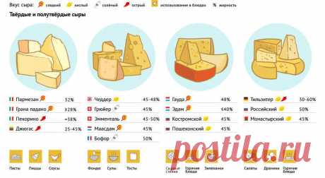 Как правильно выбрать сыр - наглядная инструкция для чайников