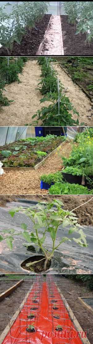 Разные способы мульчирования почвы | Все про помидоры (томаты) - видео, фото, отзовы