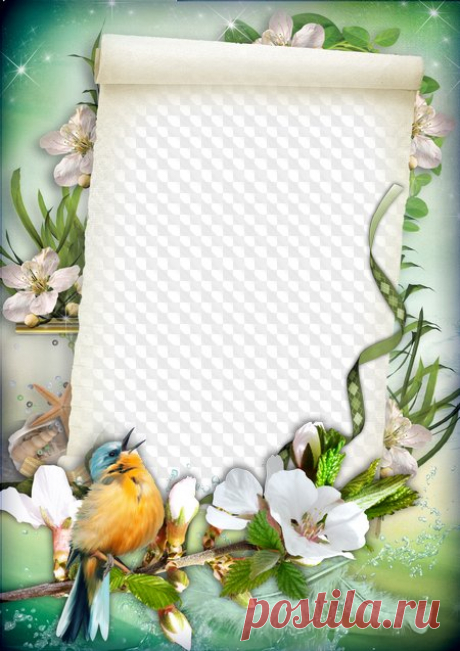 Free Photo frame template with bird download - free frame psd free frame png. Transparent PNG Frame, PSD Layered Photo frame template, Download.