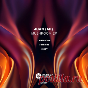 Juan (AR) - Mushroom EP | 4DJsonline.com