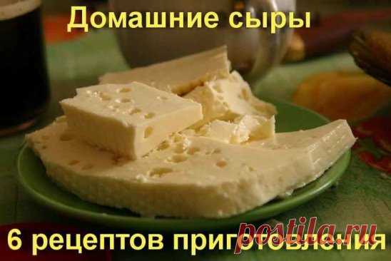домашний сыр