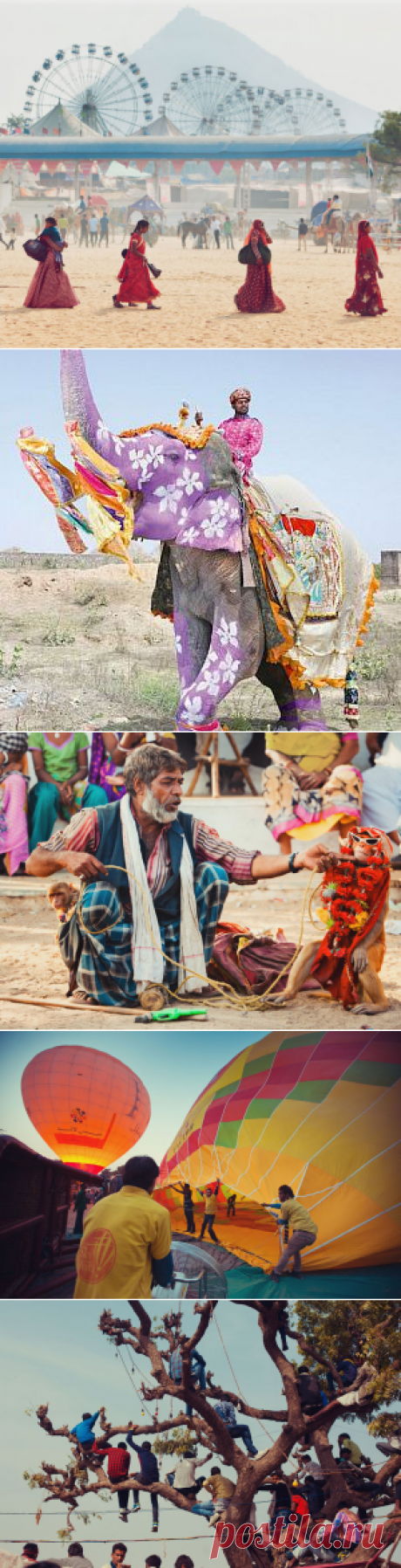 Ярмарка верблюдов
Каждый год в индийском городе Пушкар штата Раджастан проходит ярмарка верблюдов. Она проводится в ноябре и совпадает с празднованием индуистского религиозного праздника Картик Пурнима. Здесь собираются десятки тысяч кочевников, и со всех концов страны торговцы привозят более 25 тысяч знаменитых дромадеров.