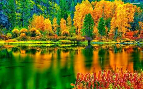 Orange amd green autumn in the forest wallpaper - 1172980