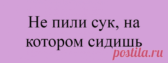 Не пили сук, на котором сидишь
Заботьтесь о себе, поскольку вход в духовность может быть только через тело. Поблагодарите свое тело, свой организм. Ваше тело — величайшее творение Природы. Чудо природы. Тело свое нужно любить, его надо уважать, тогда оно будет служить вам долго, а вы будете счастливы. Если вы живете в гармонии со своим телом, то оно будет исцеляться, выздоравливать, […]
Читай дальше на сайте. Жми подробнее ➡