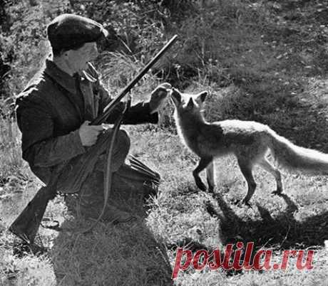 Заповедник черно-белой фотографии Василия Михайловича Пескова // KP.RU