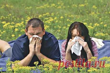 Аллергия 

Аллергией, принято называть ярко выраженную повышенную чувствительность к тому или иному веществу. Существует несколько категорий аллергии это пищевая, бытовая, лекарственная. Пищевую аллергию чаще всего вызывает употребление цитрусовых фруктов и шоколада. Бытовую аллергию может вызвать контакт с животными, цветущими растениями, пыльцой, домашним пылевым клещом, а также химическими моющими средствами.