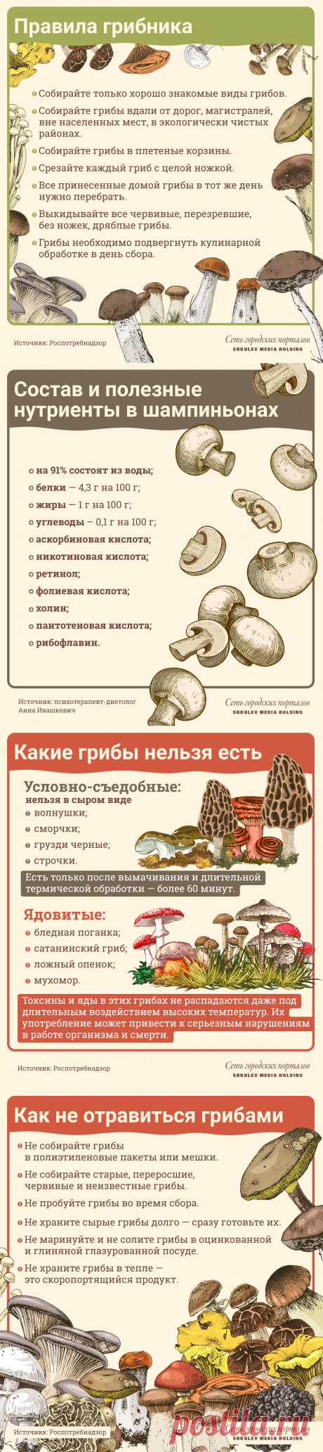 Польза и вред грибов для организма человека: какие грибы как правильно готовить для еды - Образ жизни - Новости Санкт-Петербурга - Фонтанка.Ру Гриб — орган, который может чувствовать, видеть, слышать, ощущать вкус, выделять энзимы и гормоны, то есть участвовать в процессах в организме.
Грибы обладают способностью к движению.
Они способны передвигаться в почве, воде.